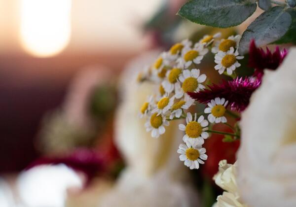 Close up of flowers for funeral in Colac